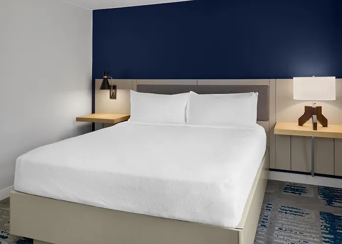 Hilton Garden Inn Arlington/Courthouse Plaza
