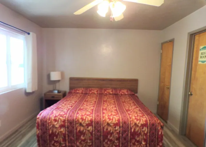 Cypress Tree Motel