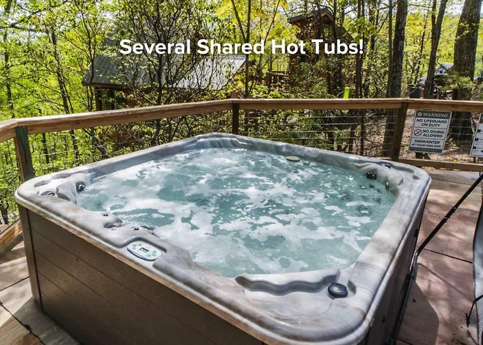 The Moosewood In Treehouse Grove At Norton Creek