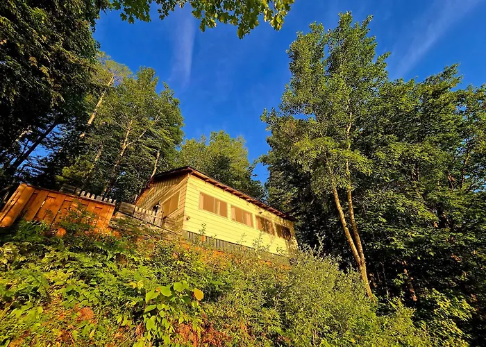 Camp Lake Bear
