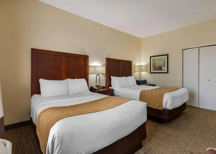 Comfort Inn & Suites