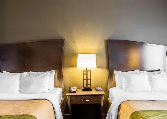 Comfort Inn & Suites Alva