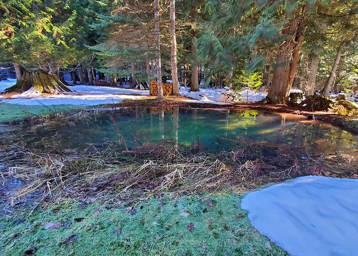 Ahrs Creek Retreat In The Timber