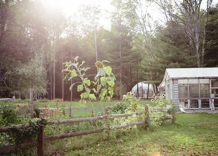 Outlier Inn Tiny House 4 On Farm Upstate Catskills