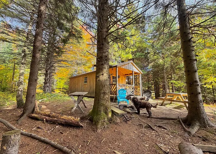Lookout Cabin