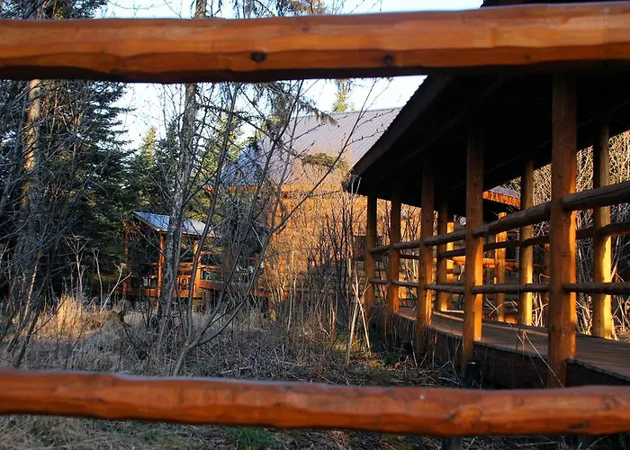 Wise Old Hunter Lodge