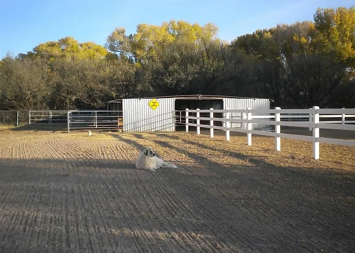 Lazy Dog Ranch