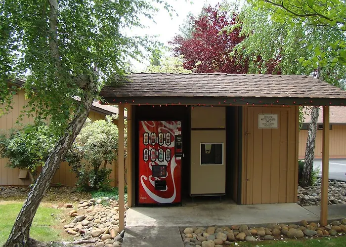 Ponderosa Gardens Motel