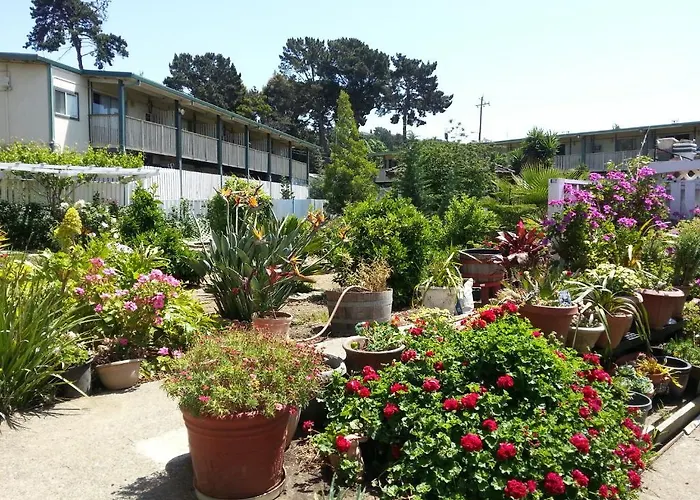 Travel Inn Vallejo