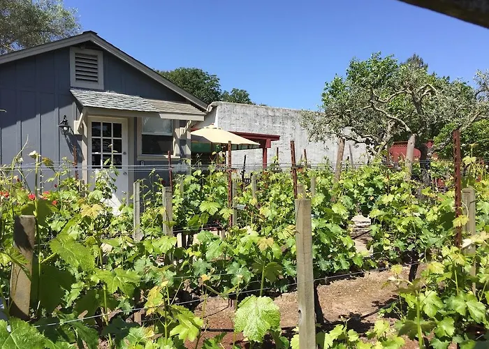 Andrea'S Hidden Cottage