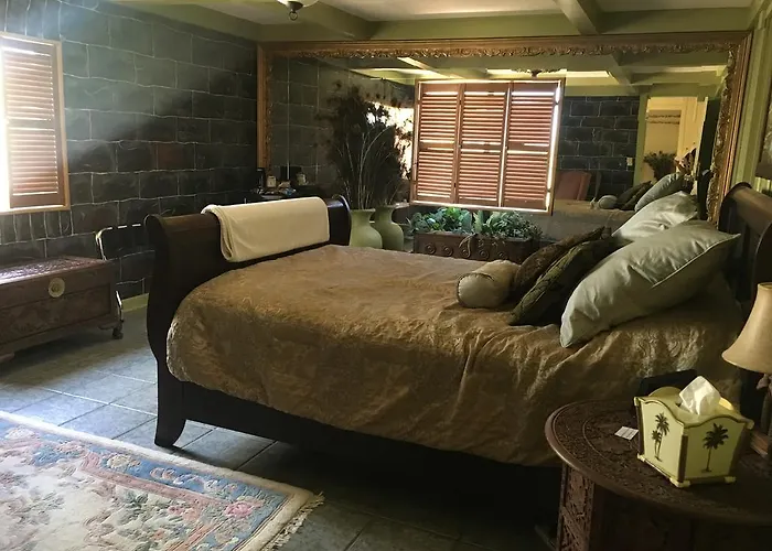 Shady Lady Bed And Breakfast