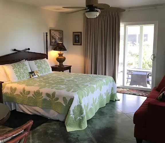 Hale Pua Villa - Seaside Studio
