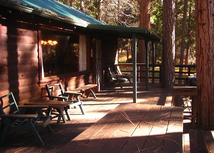 The Mini Cabin At The Redwoods In Yosemite