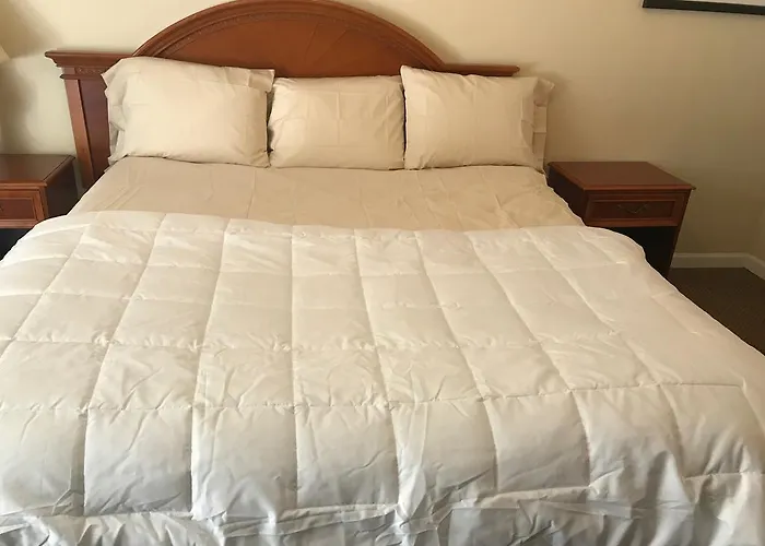 Red Carpet Inn, Alexandria