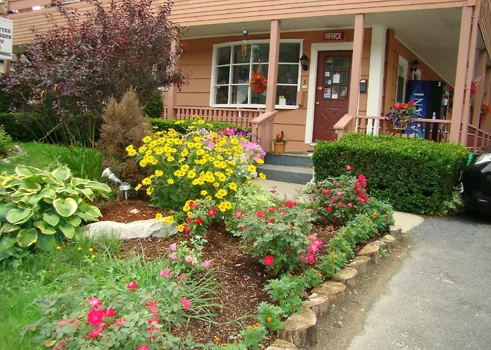 All Seasons Motel