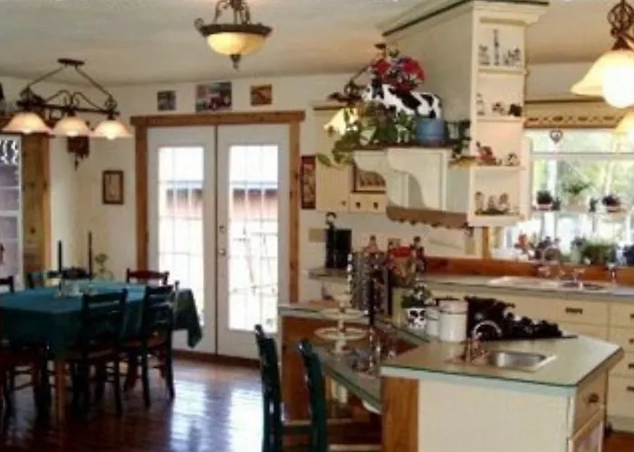 Blonde Bear Bed And Breakfast