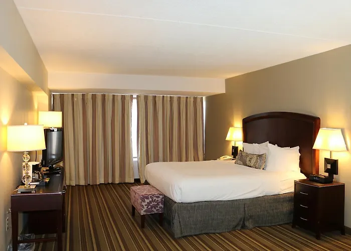 The Avalon Hotel