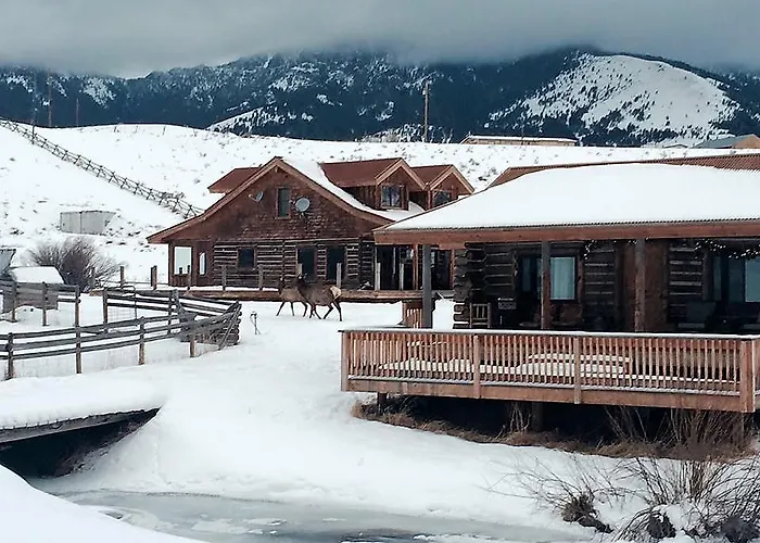 Creek Cabin