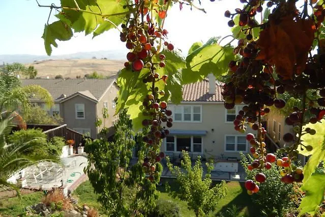 Beautiful Home In Quiet Area
