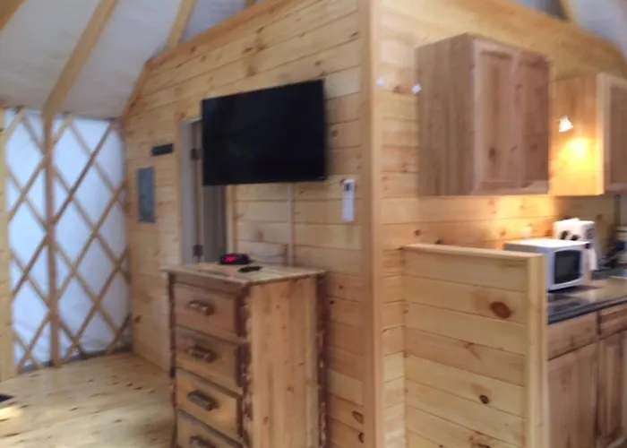 Circle M Camping Resort Yurt