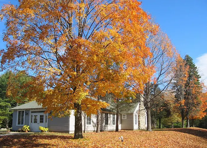 Tuxbury Pond Camping Resort Tiny House Emerson