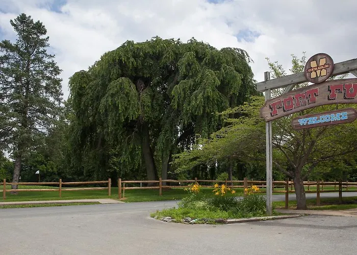 Circle M Camping Resort Yurt