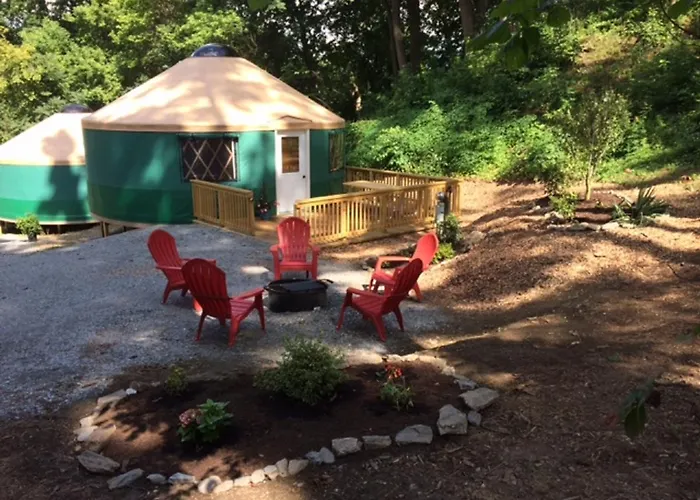 Circle M Camping Resort Yurt
