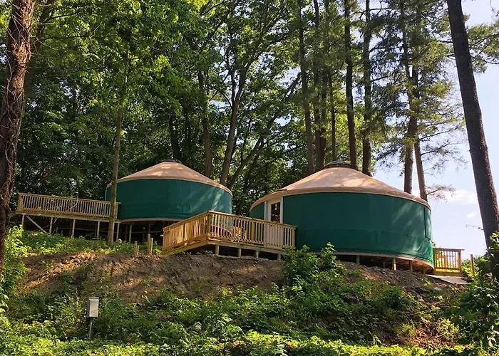 Circle M Camping Resort Yurt