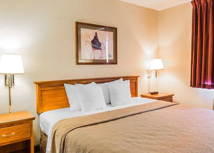 Quality Inn & Suites Montrose - Black Canyon Area