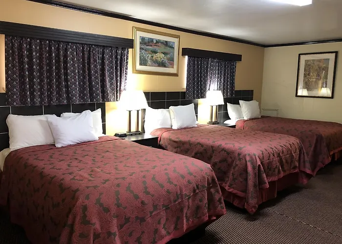 Flamingo Inn