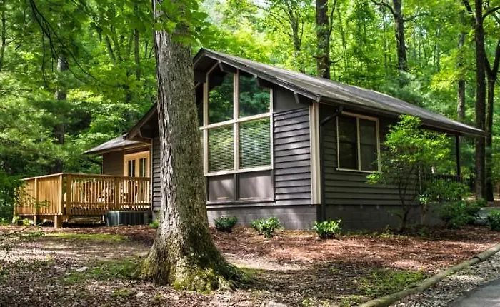 Amicalola Falls State Park And Lodge