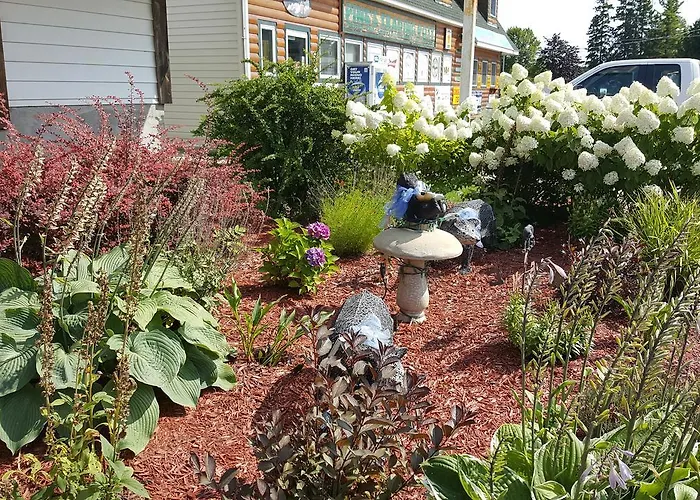 Bear Cove Inn
