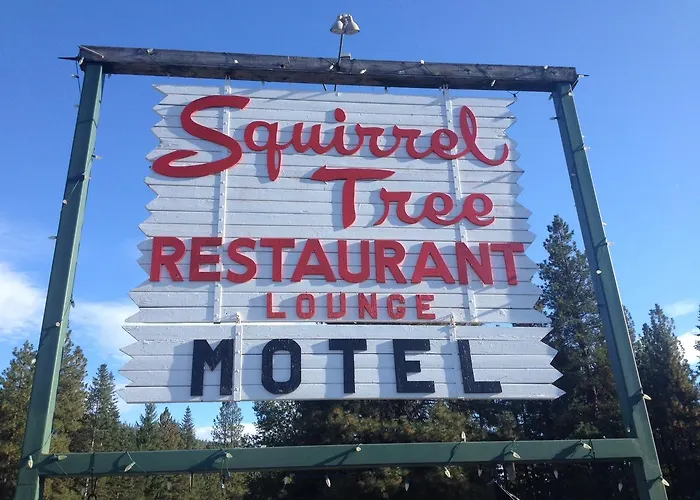 Squirrel Tree Resort