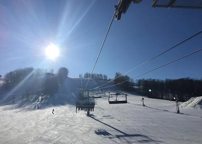 Boyne Mountain Creekside Condo