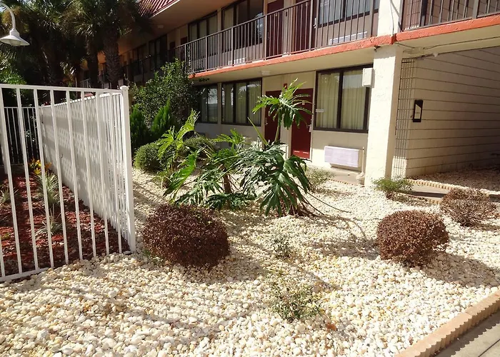 Econo Lodge Palm Harbor - Clearwater