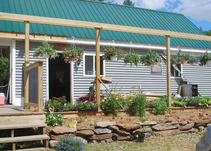 No View Farm