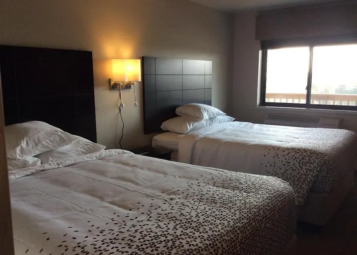 Scenic Shore Inn