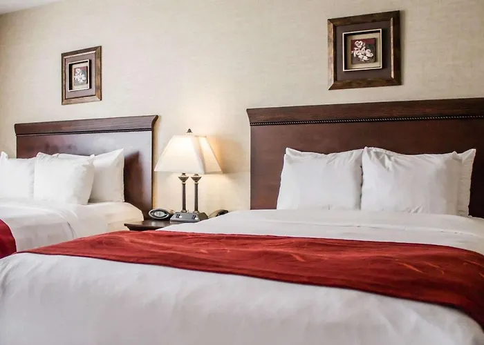 Comfort Suites Lake George - Queensbury
