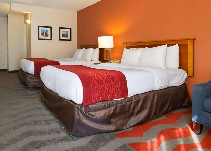 Comfort Inn & Suites Airport