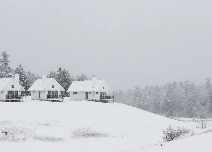 Owl'S Nest Resort