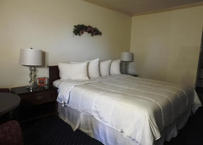 Stanford Motor Inn