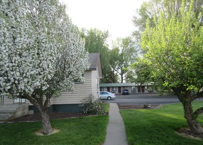 The Willows Motel