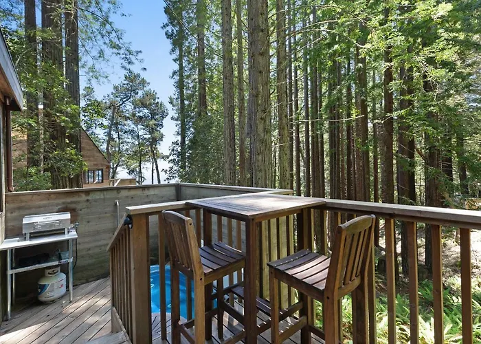 Cabin 55