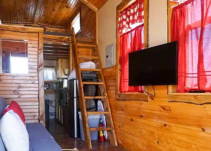 Tiny House Leadville Colorado