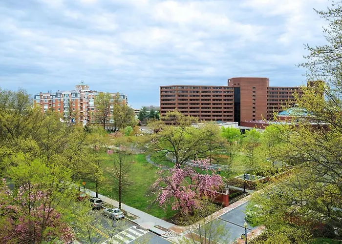 Hotel Washington Marriott Wardman Park