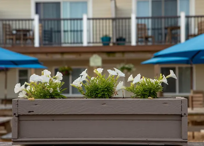 Aqualina Inn Montauk