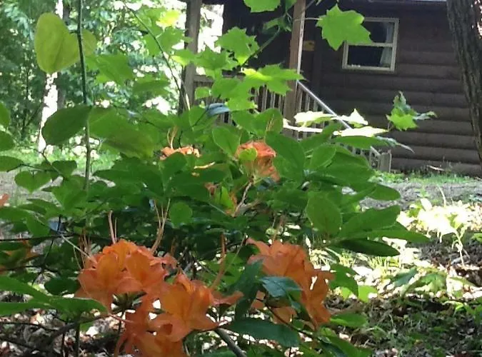The Sassafras Breeze
