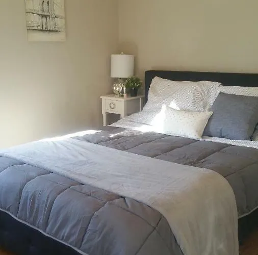 Spacious, Sunny House In Berkeley/Oakland Rockridge