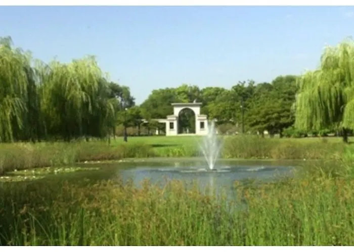 Perfect Place To Enjoy The City Or Just Relax