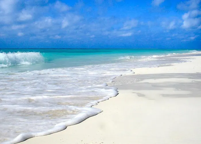 Siesta Key Dream Vacation
